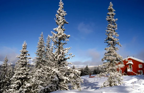 Деревянный Дом Отдыха Зимой Горнолыжном Курорте Норвегии — стоковое фото