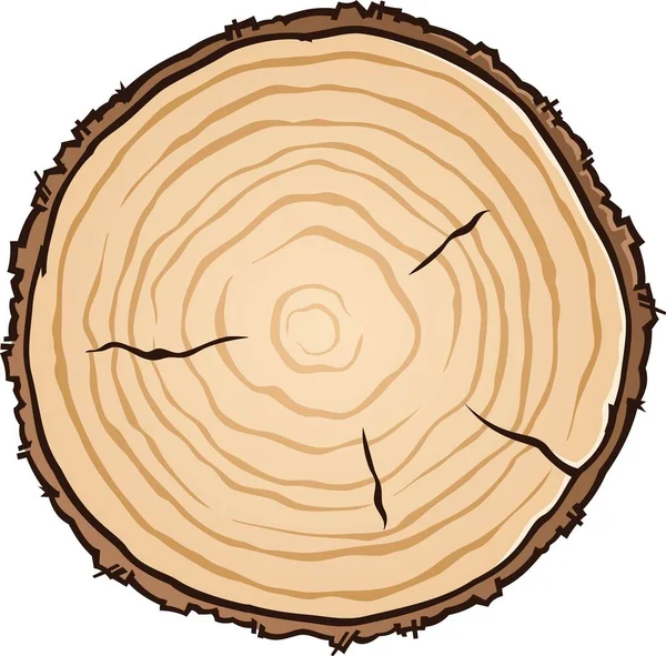 Wooden Circle Vector Illustration Cut Log Showing Age Rings Cracks — Stock Vector