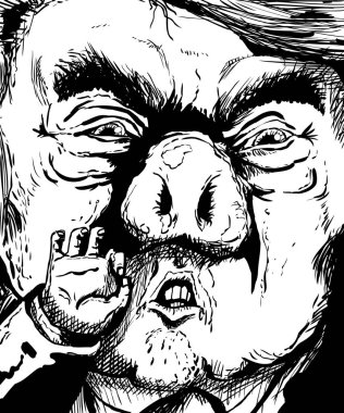 Donald Trump domuz burunlu özetlenen