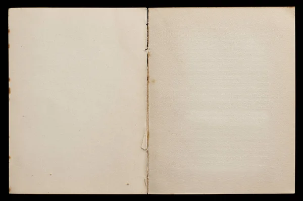 Dokulu sayfaları gösteren antika bir kitap. — Stok fotoğraf