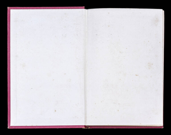 Blank book unfolded on the Endpapers.