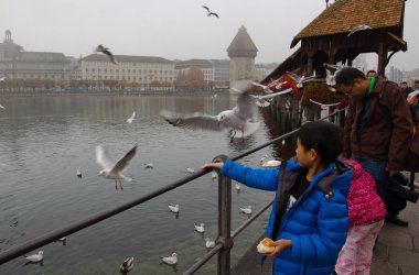 Lucerne 'de martı beslemeli turistler