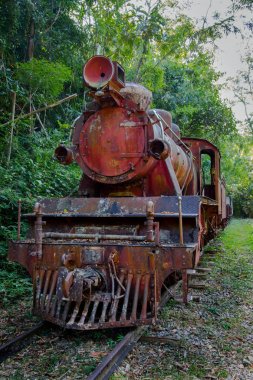 Ormanda rustik tren