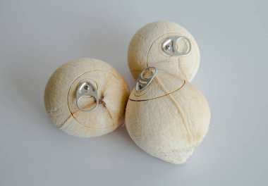 Taze hindistan cevizi içmek için hazır