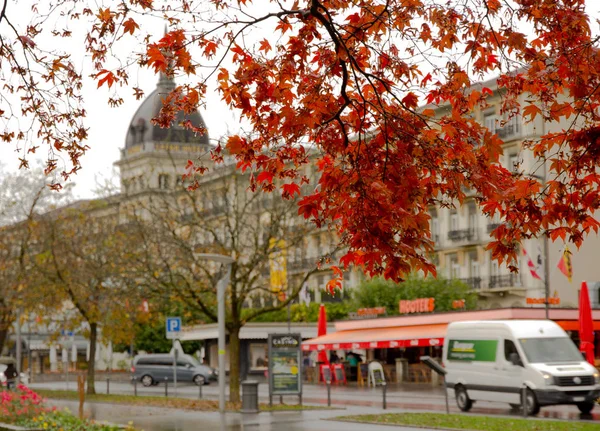 Red maple trees in Interlaken — Stock Photo, Image