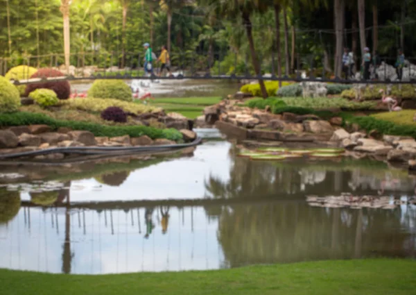 Blurred image of summer nature park