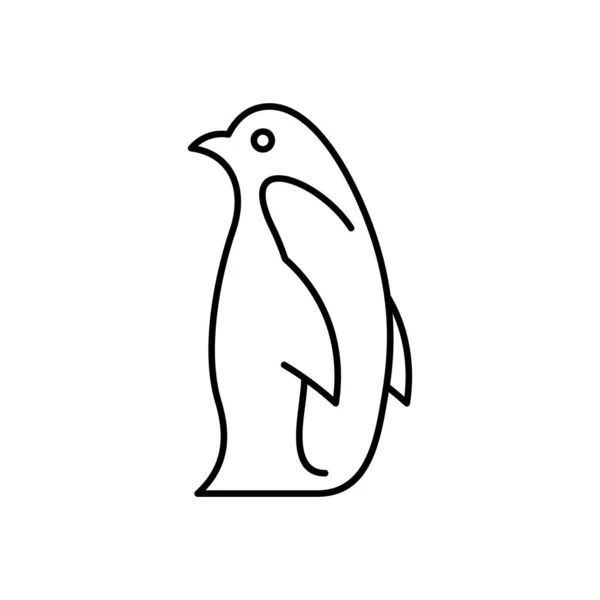 Icono Línea Pingüino Diseño Iconos Elementos Plantilla — Archivo Imágenes Vectoriales