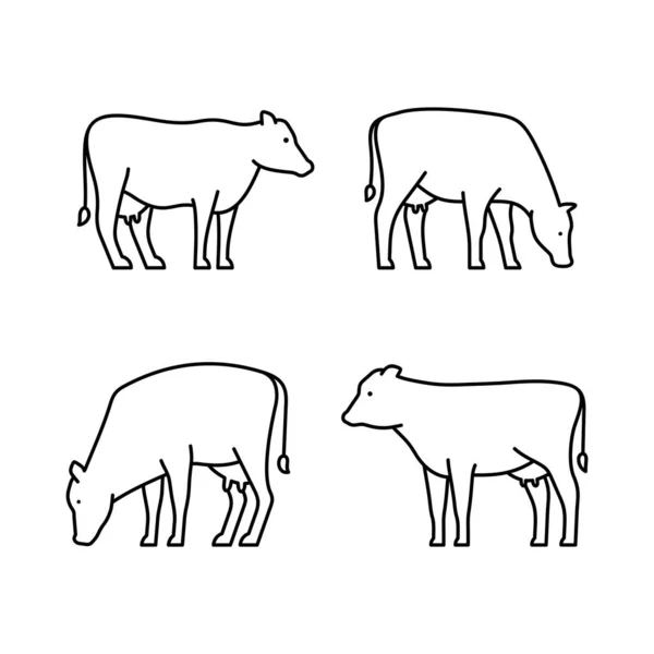 Conjunto Iconos Línea Vacas Diseño Iconos Elementos Plantilla — Archivo Imágenes Vectoriales