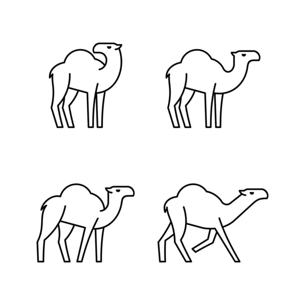 Conjunto Iconos Línea Camels Diseño Iconos Elementos Plantilla — Archivo Imágenes Vectoriales