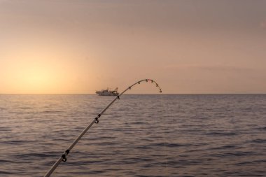 Sunset Bulvarında bir olta yakın çekim ve balık tutma b ile deniz