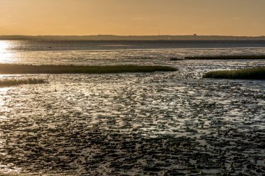 Audenge, düşük tide ile denizde Bassin d'Arcachon gün batımında