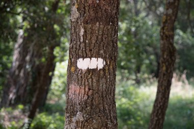 Sembol ve işaretleri orman yollarında