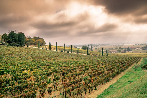 Autumn sunset on vineyards around Saint-Emilion with hills grape