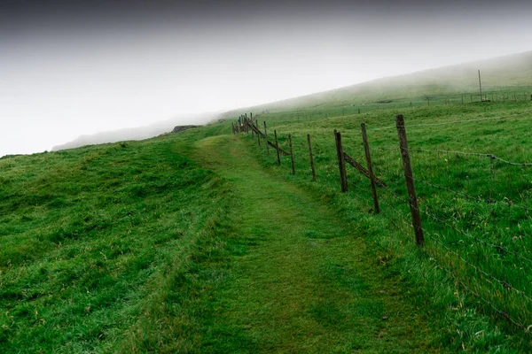 Sentier sur les falaises de l'île de Mykines dans les îles Féroé — Photo