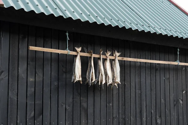 Getrockneter Kabeljau vor einem Haus auf den Färöer-Inseln — Stockfoto