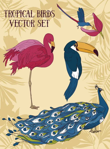 Conjunto de aves tropicais — Vetor de Stock