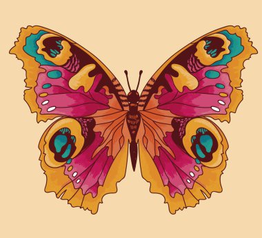  güzel kelebek, kroki tarzı