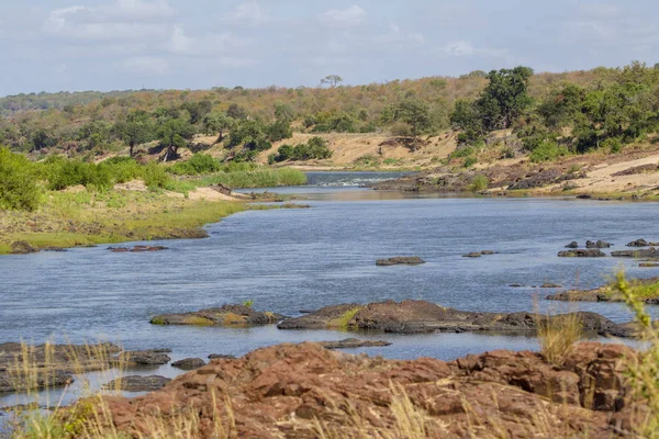 Rivière dans le parc national Kruger Afrique du Sud — Photo