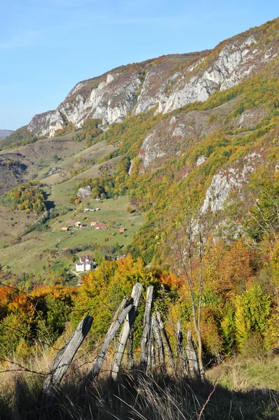 Montagna paesaggio autunnale con foresta colorata — Foto Stock