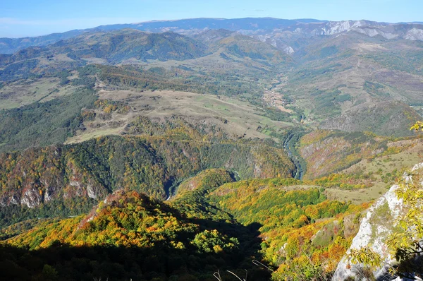 Paisaje de otoño de montaña con bosque colorido — Foto de Stock