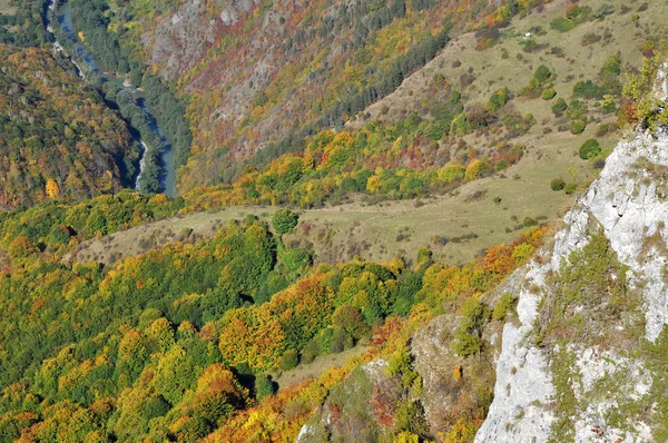 Bergherfstlandschap met kleurrijk bos — Stockfoto
