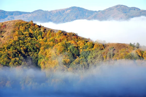 Foggy paysage d'automne — Photo