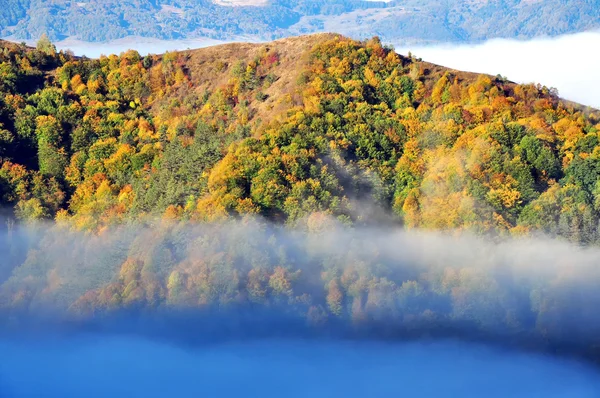 Foggy paysage d'automne — Photo