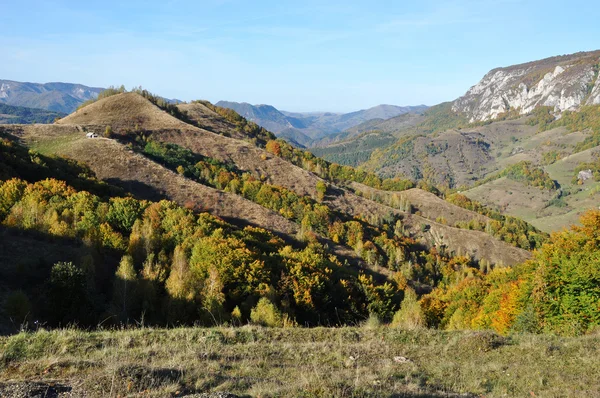 Bergische Herbstlandschaft mit buntem Wald — Stockfoto