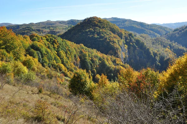 Горный осенний пейзаж с красочным лесом — стоковое фото