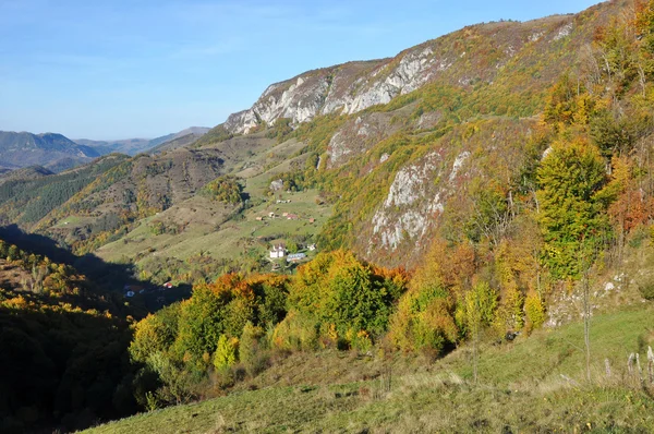 Paysage d'automne de montagne avec forêt colorée — Photo