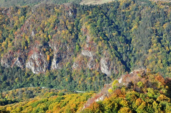 Montanha paisagem outono com floresta colorida — Fotografia de Stock
