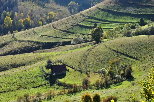 Paisaje de otoño de montaña con bosque colorido —  Fotos de Stock