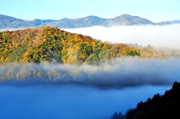 Niebla paisaje otoñal — Foto de Stock