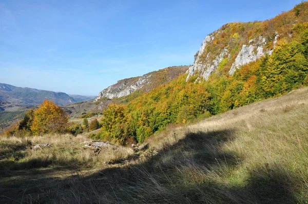 カラフルな森と山の秋の風景 — ストック写真