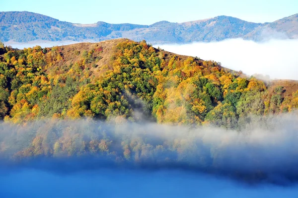 Mglisty jesienny krajobraz — Zdjęcie stockowe
