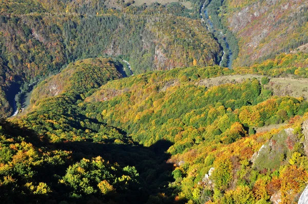 Bergherfstlandschap met kleurrijk bos — Stockfoto