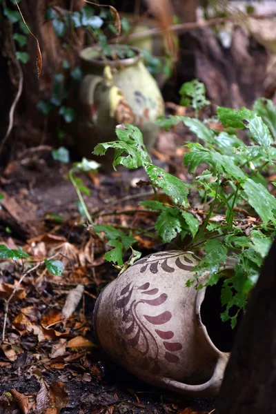 Abandoned vintage ceramic jug pottery — Stock Photo, Image