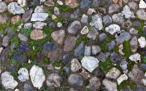 Old cobblestone background with grass — Stock Photo, Image