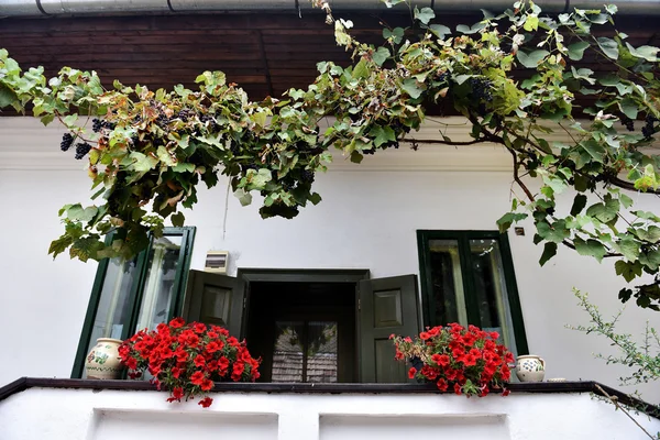 Rural house with red Geranium flowers in the veranda — Stock Photo, Image