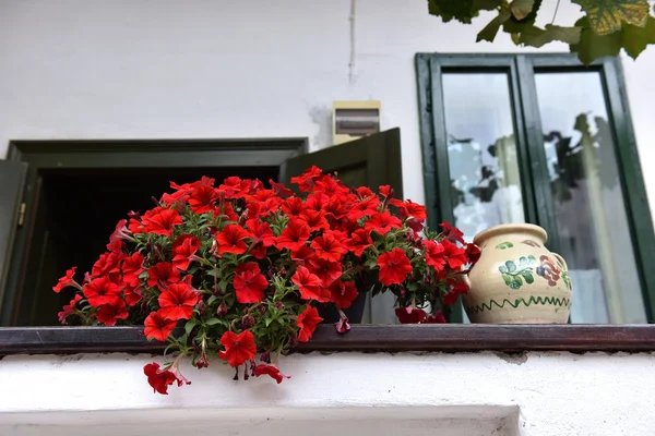 民家ベランダで赤いゼラニウムの花を持つ — ストック写真