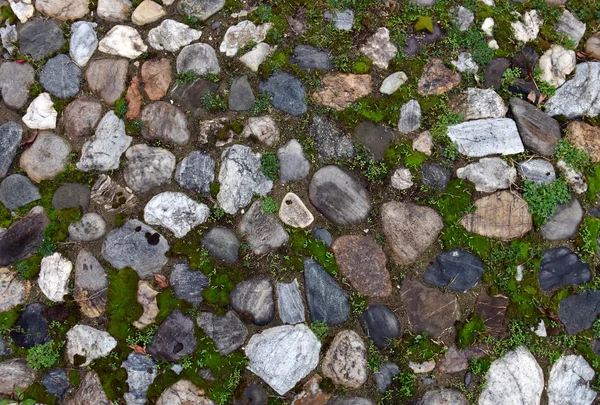 Gamla kullerstensbelagda bakgrund med gräs — Stockfoto