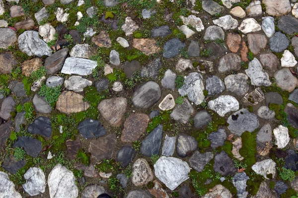 Altes Kopfsteinpflaster Hintergrund mit Gras — Stockfoto