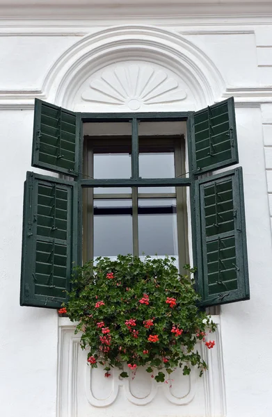 Persianas de madera verde clásico y flores rojas en un rural — Foto de Stock