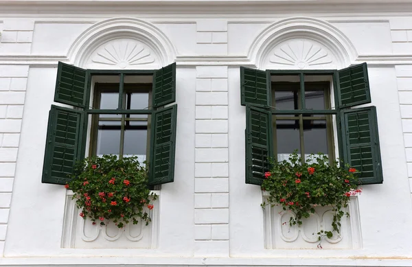 Persianas de madera verde ventana y flores rojas — Foto de Stock