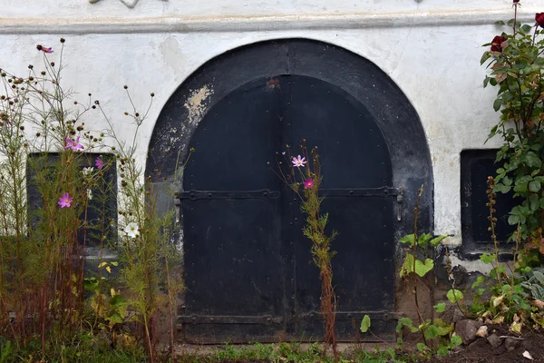 Puerta de entrada a un sótano, bodega — Foto de Stock