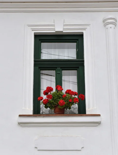 Marco de ventana de madera verde clásico y flores rojas en un hou rural — Foto de Stock