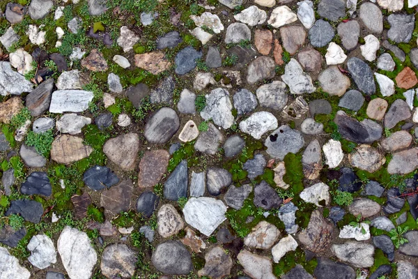 Altes Kopfsteinpflaster Hintergrund mit Gras — Stockfoto