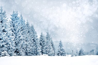 Kar taneleri ve köknar ağaçları ile Noel selamlar arka plan