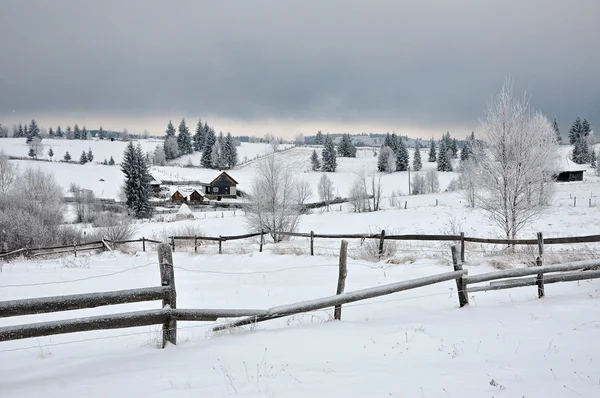 Paisagem de inverno de fadas com abetos — Fotografia de Stock