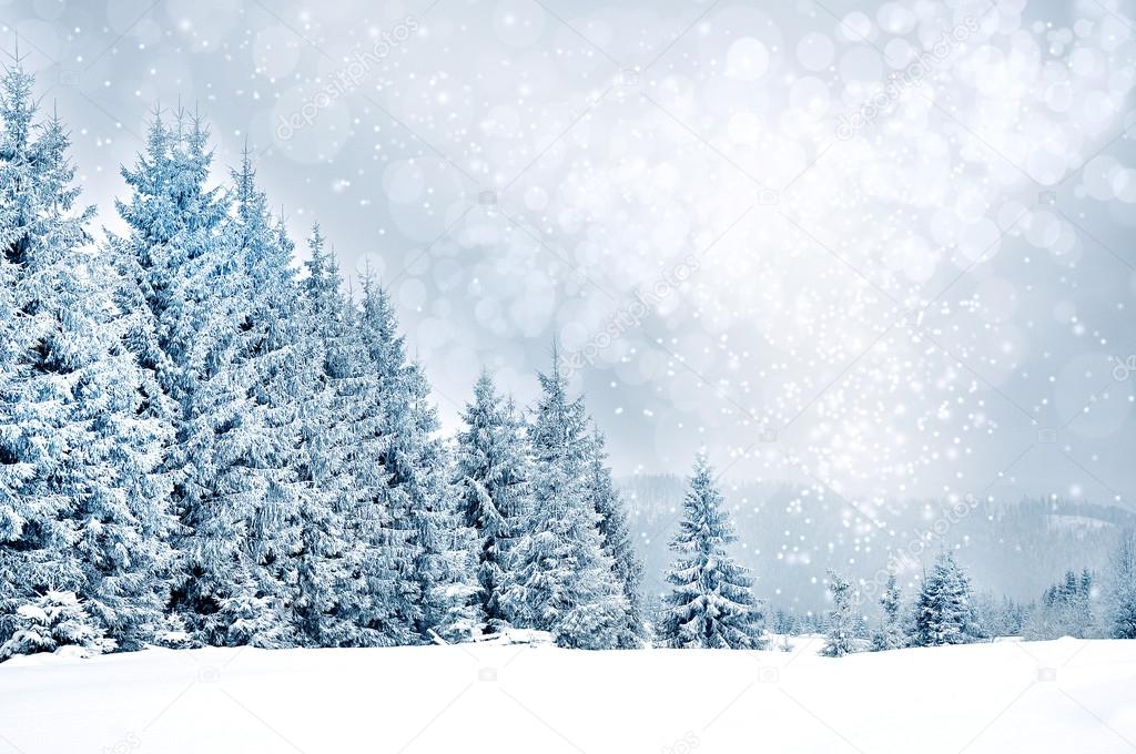 Christmas greetings background with snowflakes and fir trees